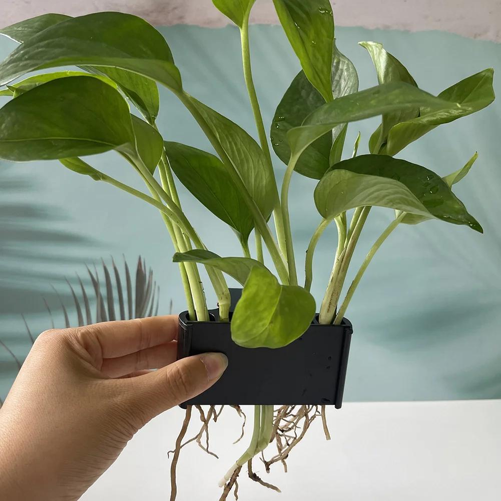 Aquarium Plant Holder with Hanging Hook - Submersible Planter Basket for Live Aquatic Plants, Fish Tank Decor with Integrated