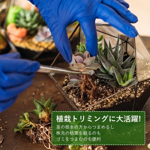 NOLITOY Stainless Steel Tweezers with Curved Tips, Garden Hand Tool for Succulents and Bonsai, 5 Pieces