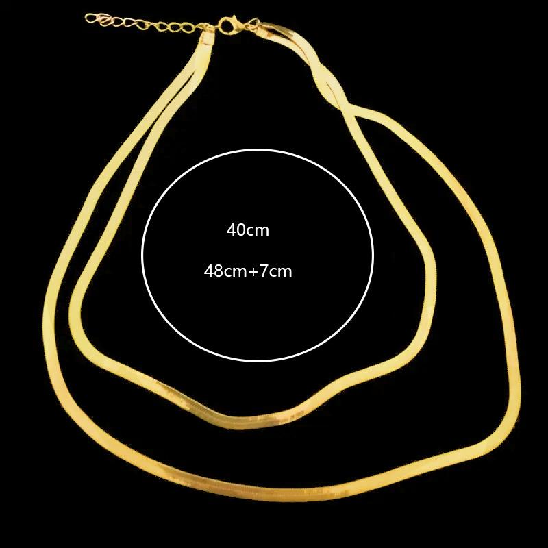 Double-layer Snake Bone Chain Fashionable and Popular Simple Design 18K Gold-plated Titanium Steel Necklace Temperament Versatile Necklace
