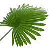Artificial Fan Palm Green 60 x 25 x 170 cm Fabric and Bamboo