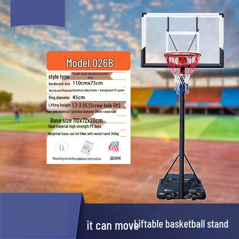 Longchan Wall-Mounted & Portable Basketball Hoop