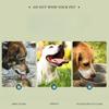 Dog Feeders Folding Silicone Bowl Outdoor Travel Foldable Portable Cat Dog Food Water Container Feeding Tray Bowl Pet Supplies