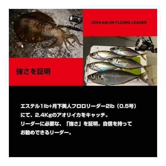 DAIWA Rockfish/Aji Line Moonlight Beauty Fluoro Leader Various