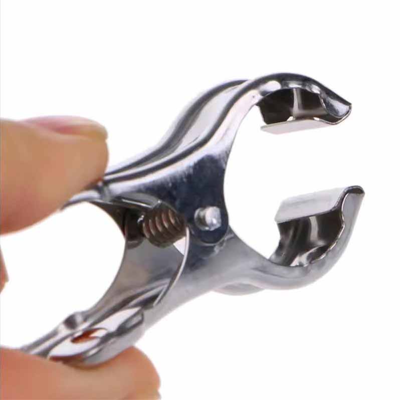 10PCS Large Stainless Steel Clips for Home Drying Down Clothes Quilt Windproof Clothespins Home Laundry Beach Towel Clips