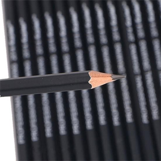 14Pcs Painting Pencils Professional Sketch Tool Portable 6H-12B Drawing Pencil Set for Sketching