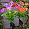 Simulation Flower Outdoor Yard Lights 7 Heads Solar LED Lights Garden Floral Lamp  Lawn Decoration