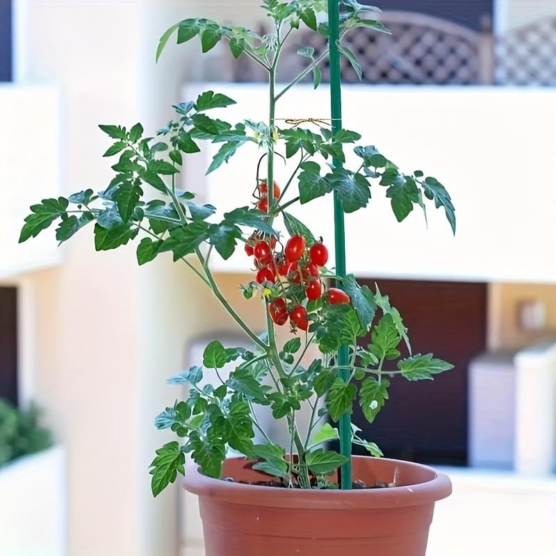 10pcs Sturdy Plant Stakes for Robust Plant Support and Indoor Gardening - Wooden Garden Stickers for Labeling and Flower Support