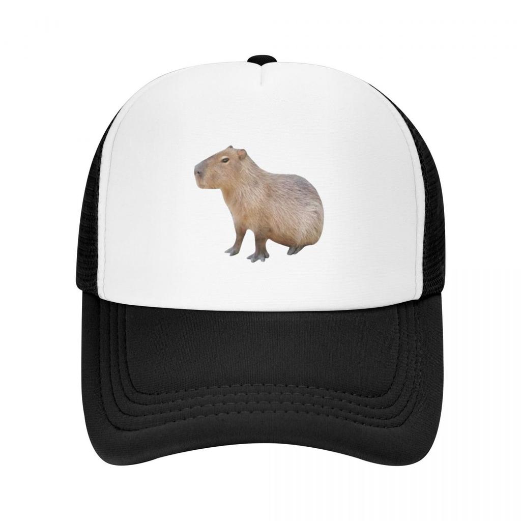 Seated Capybara Baseball Cap Golf Hat Genuine Derby S On Offer Woman Men'S