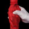 Extra Large Silicone Dildo Giant Anal Plug Fisting Trainer Realistic Big Penis Sex Toy
