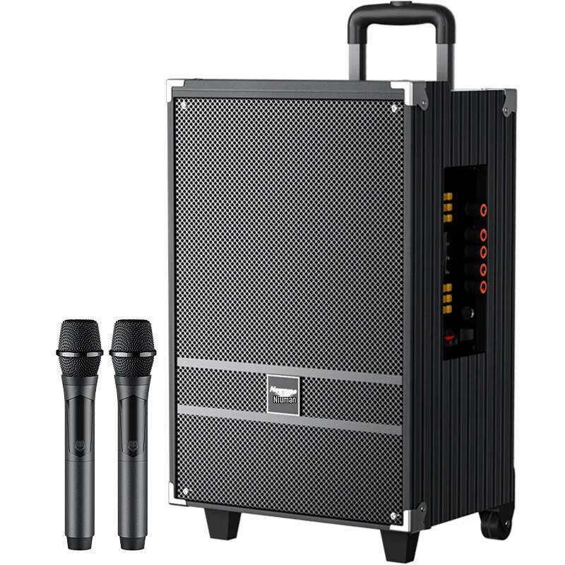 Newmine N519 12-inch Portable Bluetooth KTV Trolley Speaker