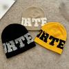 Y2K High Street Trendy Lente Letterpatroon Gedrukt Warme Gebreide Muts