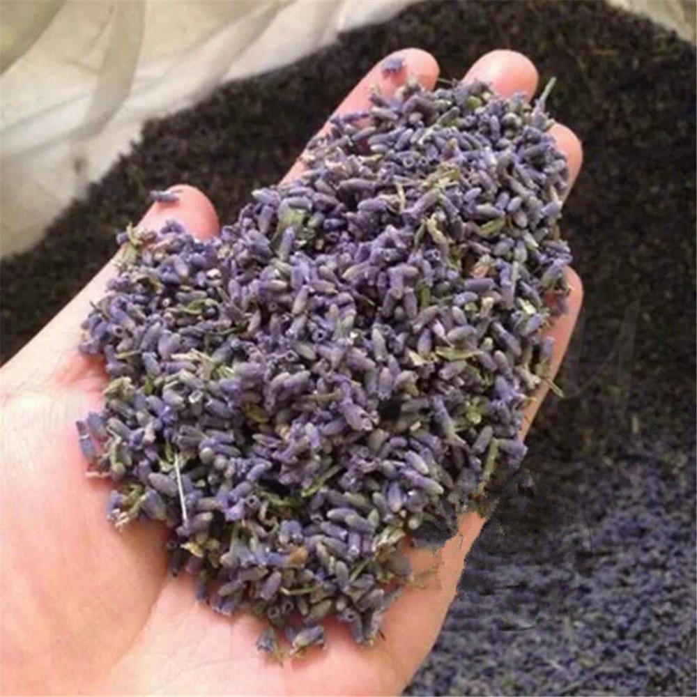 Lavender Dry Flower Tea Herbal Blooming Gift for Sleep 50g