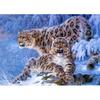 5D DIY diamantová malba Zimní sada pro vyšívání sněžným leopardem Úplná diamantová vyšívání drahokamu Obrázek Mozaika Domácí dekorace