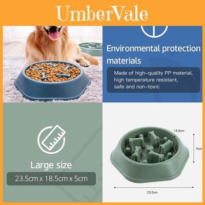 Perros – Proveedores de agua y alimento