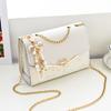 Electric Circus Mini Shoulder Crossbody Small Bag and A Popular Gift for Elementary and Middle School Available in White and Lightweight and perfect