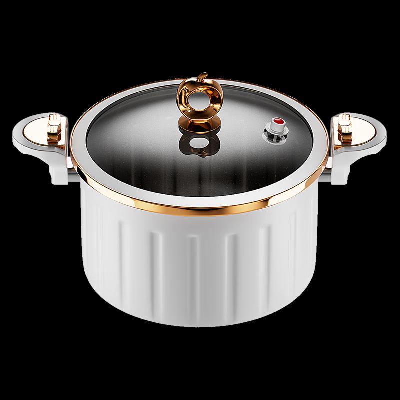 Rongshida RG-WYG22YH Dragon Theme 8L Micro Pressure Cooker