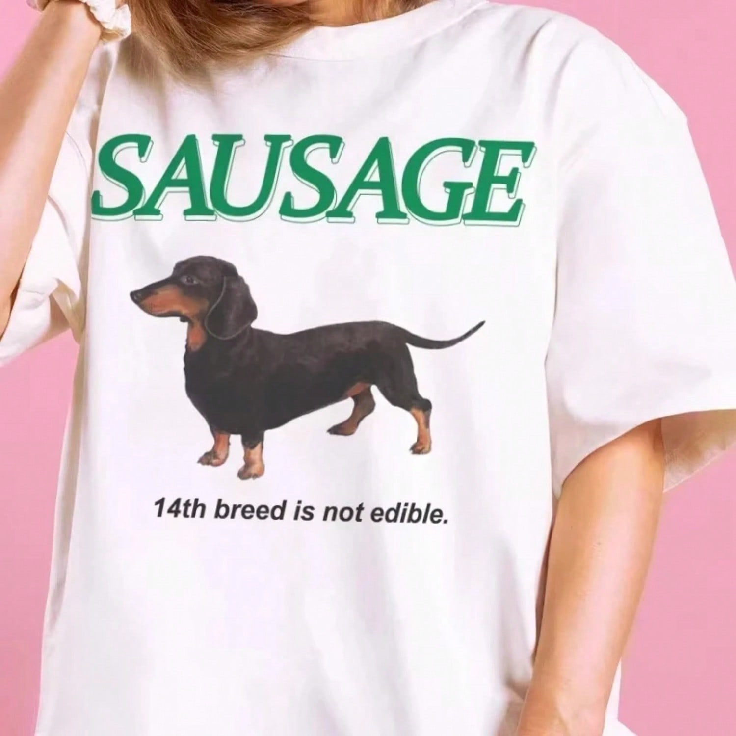Kawaii Dachshund Tops Cute Funny T-Shirt Y2k Cotton Vintage T-Shirt Printed T-Shirt Wounisexs Loose Korean Fashion Streetwear S разноцветный