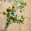 Prosperity Pomegranate Artificial Flower Arrangement for Living Room Decor - Realistic New Year Dried & Green Plant Ornament