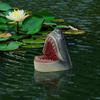 Floating Shark Head Decoy for Pools Animal Sculpture Water Feature