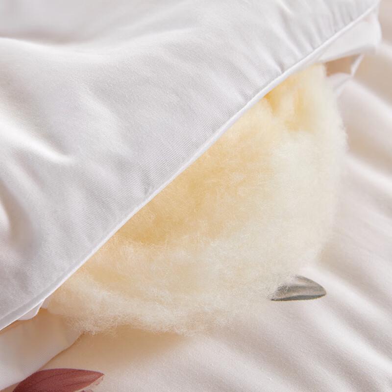 Hengyuanxiang Zhiqiu All-Season Quilt