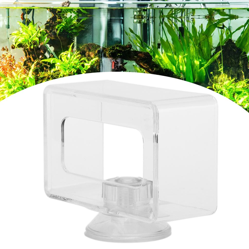 Fish Food Feeding Ring Antifloating Transparent Acrylic Fish Ring Feeder Aquarium for Fish(S 6x10x4cm )