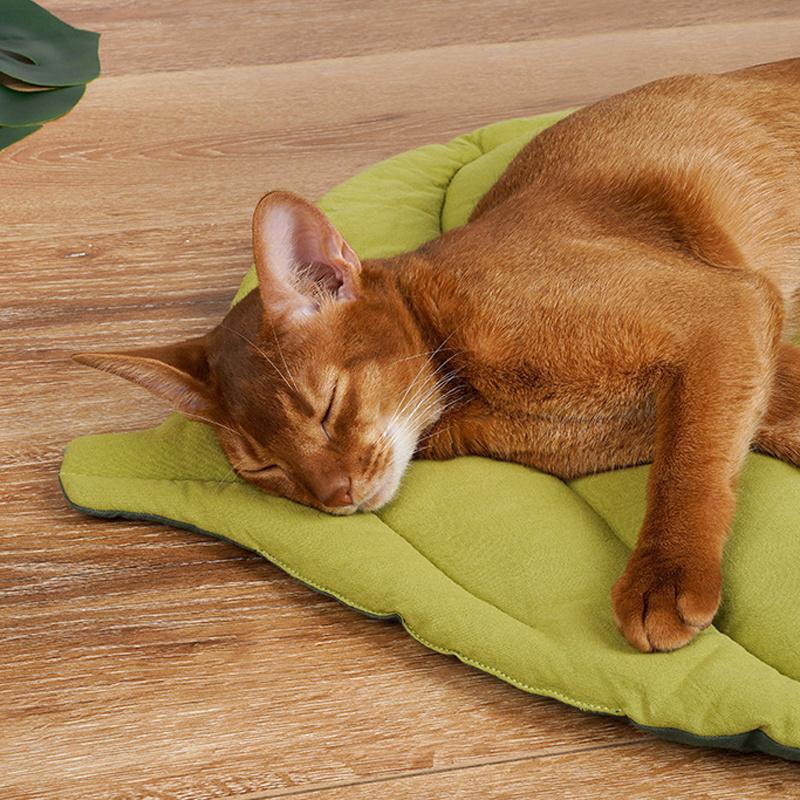 Kattmatta Sömnartiklar Husdjurssömnmatta Hundgolvmatta Bitbeständig Katt Kattrumsmatta