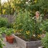 Cucumber and tomato support sticks20Home gardening climbing frame, plant trellis, vegetable garden support pole, multifunctional