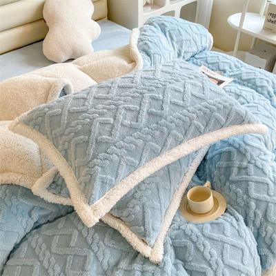 Winter Velvet Pillowcase with High Aesthetic Value, A Pair of Milk Velvet Coral Velvet Pillowcases, 48x74 Dormitory