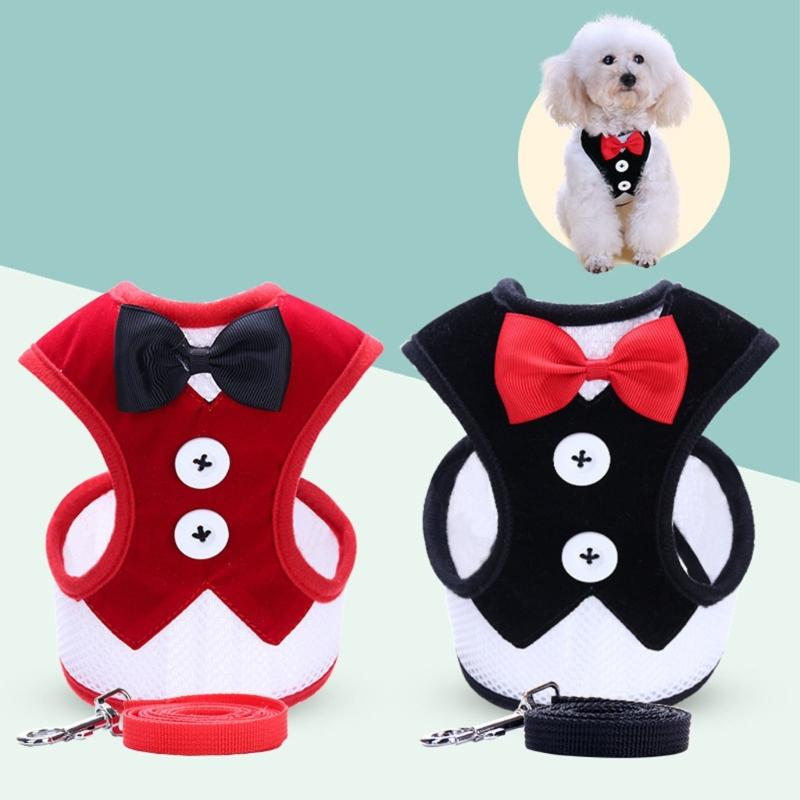 Dog Harness No Pull Small Pet Leashes Breathable Vest No Choke Harnesses 4 Feet Long Durable Leash for Small Dog