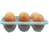 Six Eggs Capacity Travel Friendly 6 Eggs Box For Camping Enthusiasts Ensures Freshness With Airtight Closure System