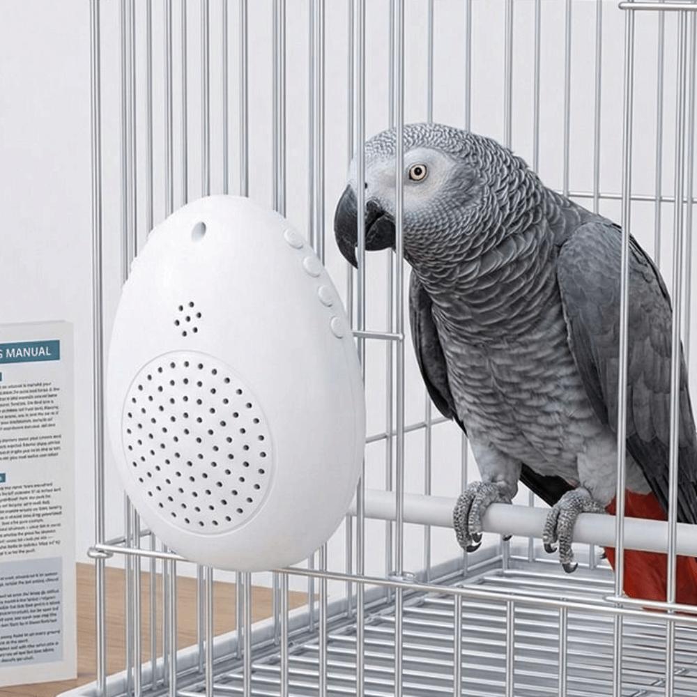 Playback Parrot Teach Talking Recording Bird Repeater Portable Bird Learning Machine  Bird Training