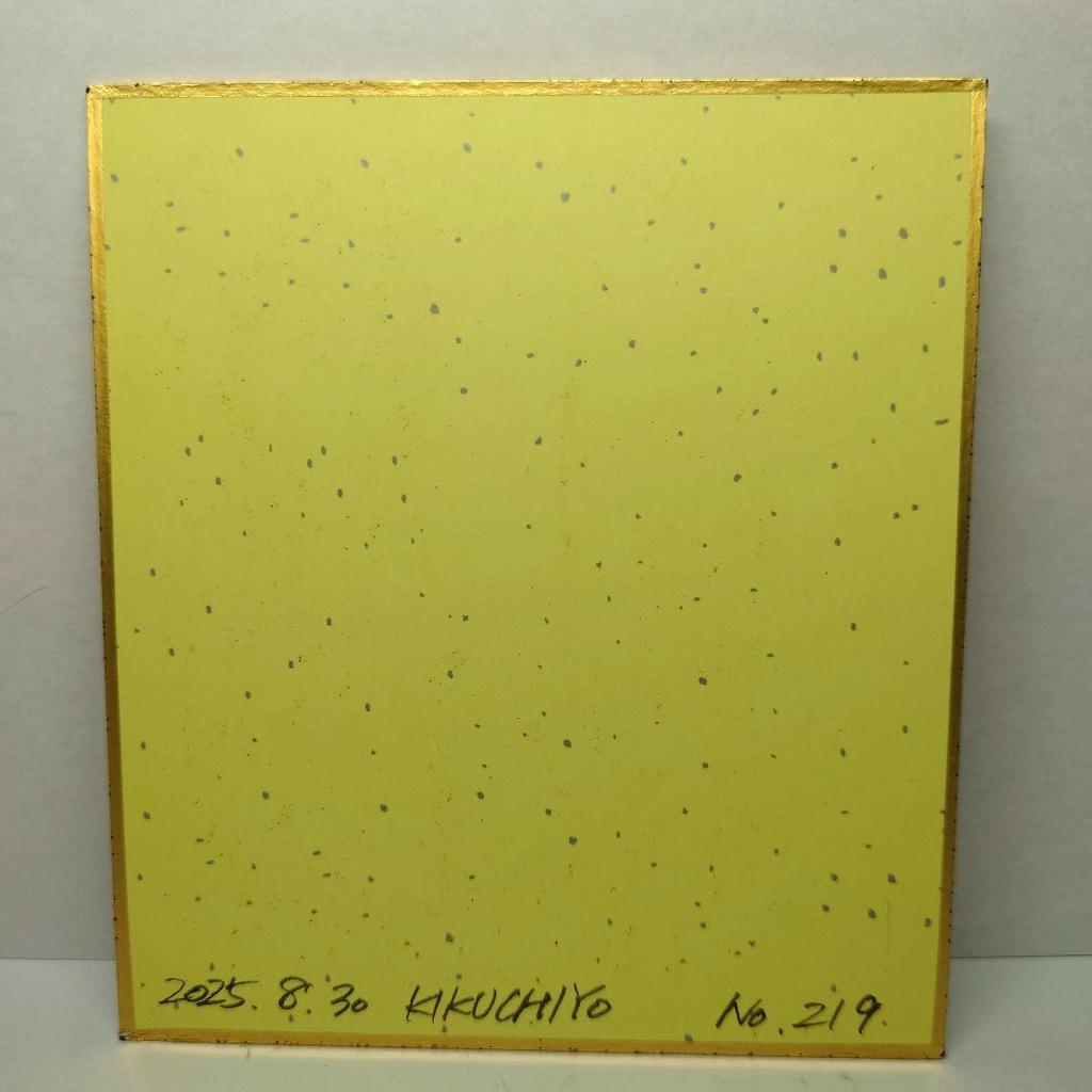 [USED] Hand-drawn Illustration 219 Original Original Painting Colored Paper Doujin "Galaxy Idol