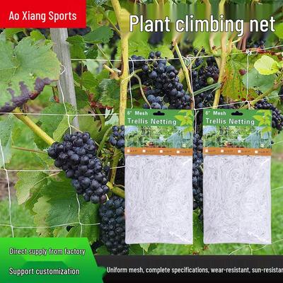 Polyester Climbing Vine Trellis Net for Garden Plants