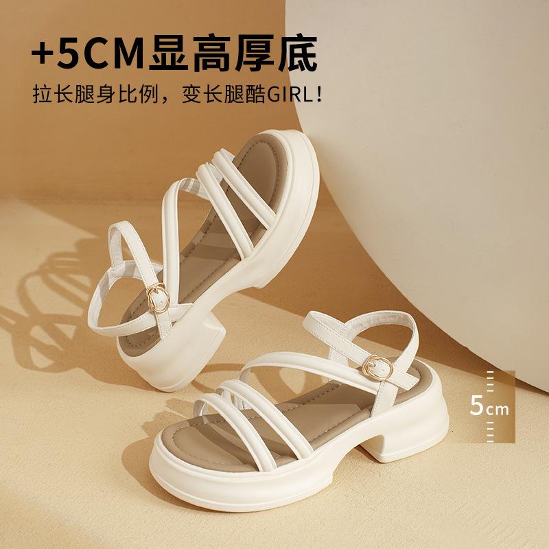 Augustine Sandals Women's Outer Wear 2025 New Summer Platform Roman Fairy Wind Thick Heel Beach Cool Slippers