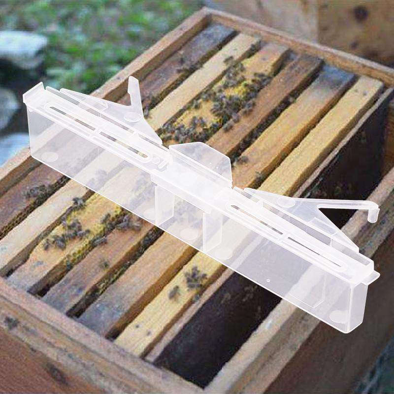10 Paczek Pułapka na Chrząszcza Ulowego, Przezroczysta Plastikowa Wielokrotnego Użytku Pułapka Chrząszczobójcza dla Chrząszcza Ulowego Pomocnik Pszczelarza Artykuły