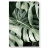 Jungle Landscape Canvas Poster Animal Leopard Elephant Print Painting Palm Leaves Forest River Bridge Nordic Picture Decoration