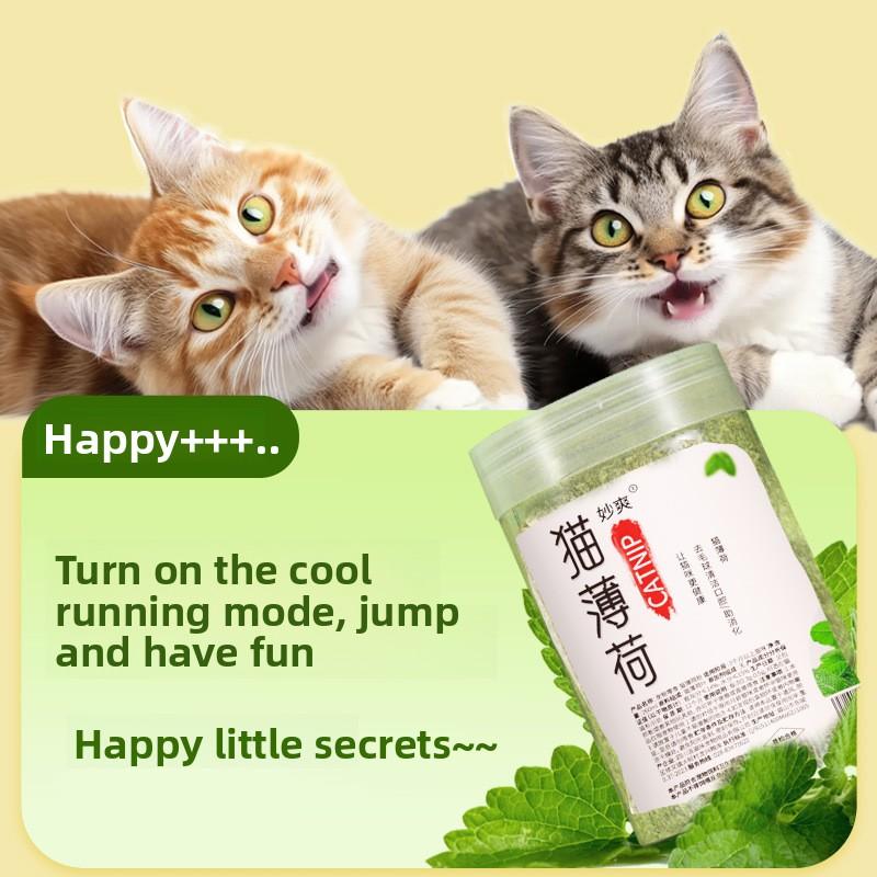 Catnip Powder Is Edible. Catnip Plant Fine Powder Can Be Used To Fill Cat ToysCat Snacks and Is Suitable for Adult Cats