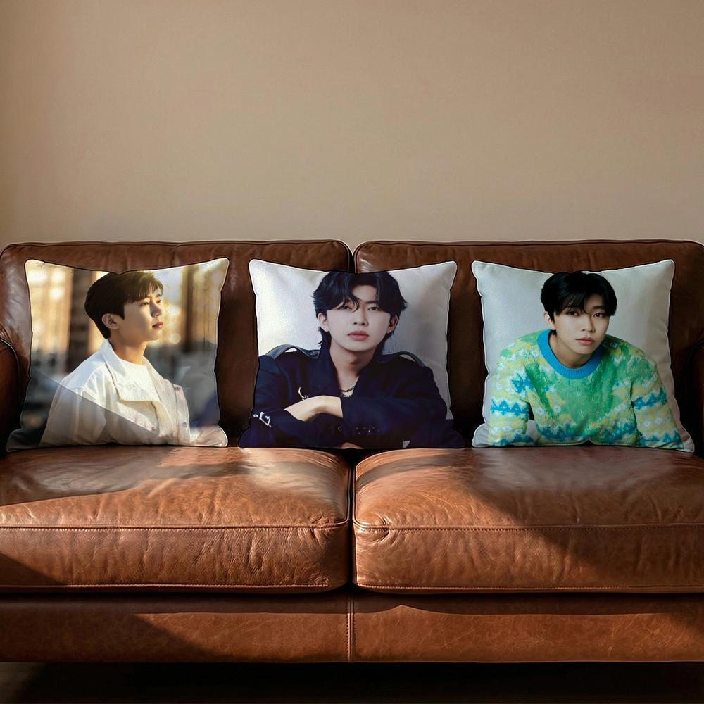 LLim Young WWoong Cushion Cover Soft Reversible Durable Pillow Cover MultiScene Use for Home Car Daily Comfort