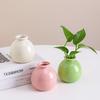 Small Ceramic Desktop Hydroponic Vase for Pothos - Simple Decorative Ornament for Office