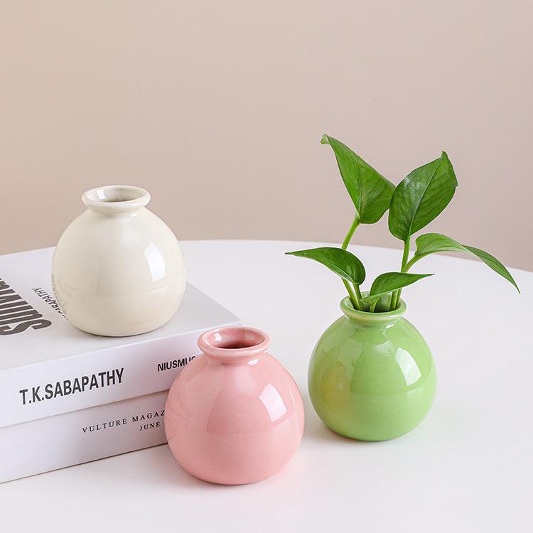 Small Ceramic Desktop Hydroponic Vase for Pothos - Simple Decorative Ornament for Office