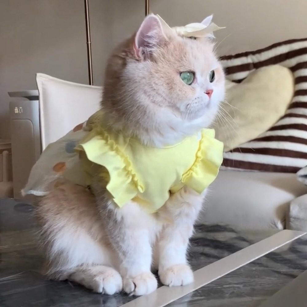 Summer Pet Dog Dress Sweet Corgi Teddy Clothes Cute Dog Skirt  Pet Supplies