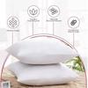 Hotel Style Square Pillow Insert With Thick Pp Cotton Filling For Bedroom Couch Lounge Decor