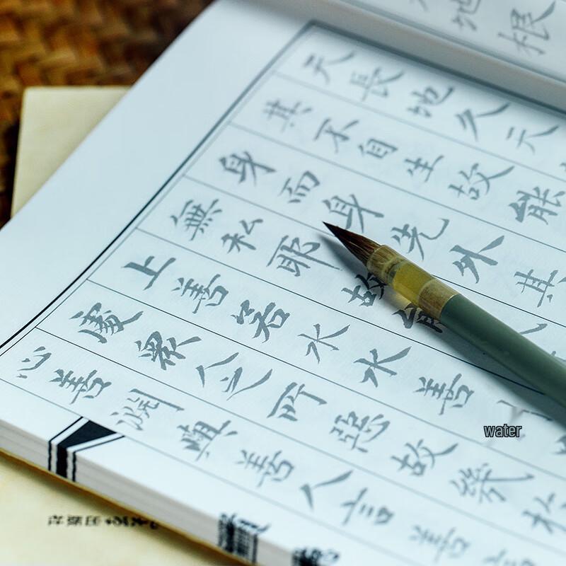 Wanling Wenyun Classical Chinese Calligraphy Practice Collection