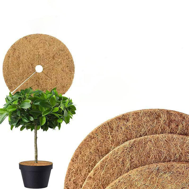 20/25/30/35cm 3PCS Fibre de Coco Naturelle Anneau Paillage Arbre Protecteur Tapis Organique pour Intérieur Extérieur Disque Cache-Plante Pot de Fleur
