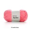 Ruyi Bird Little Bean Snow Chenille Yarn for DIY Crochet Doll - Cute Ice Stripe Yarn Ball
