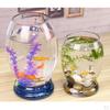 Schüssel Fischbecken Becken, Gradansicht