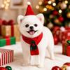 2Pcs/Set Winter Dog Scarf Collar Christmas Cat Scarf Hat Cozy Dog Bandana Scarf  for Small Dogs