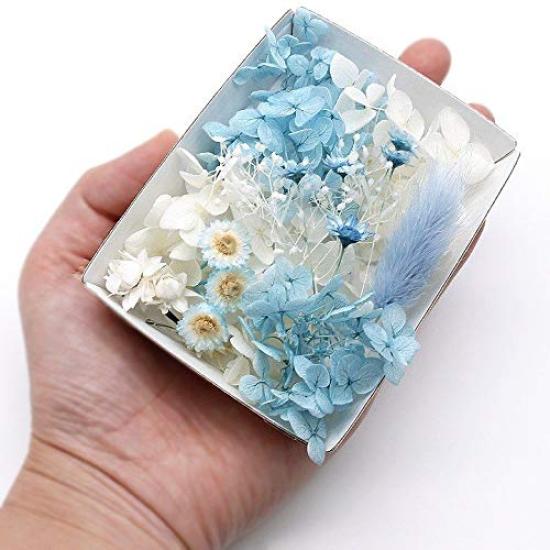 Something Blue Flower Material Set Handicraft Craft Herbarium Flower Material Aroma Wax Sachet Preserved Flowers Hydrangea Breath Immortelle Baby's