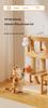 Rechargeable Electric Cat Toy: Automatic Lifting Tease Ball with No Tangles