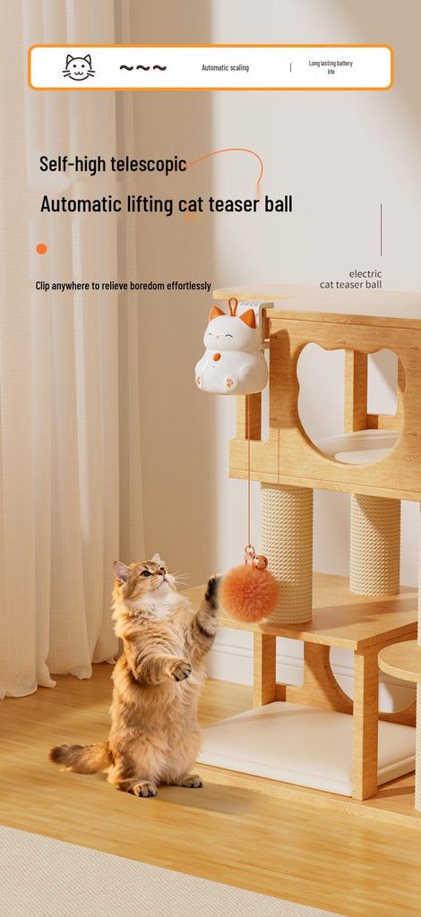 Rechargeable Electric Cat Toy: Automatic Lifting Tease Ball with No Tangles